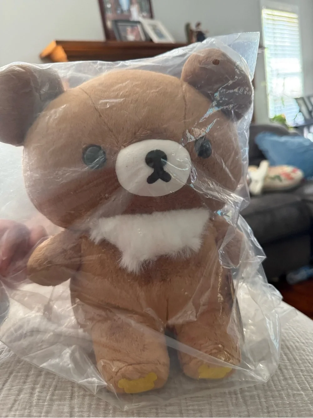 Authentic San-X Chairoikoguma Bear Plush Stuffed Toy Medium
